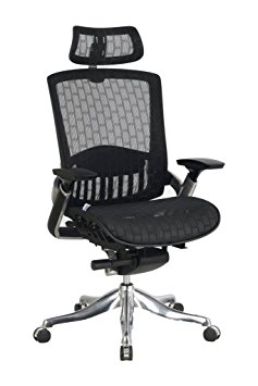 VIVA OFFICE Latest Multifunction Office Chair, Deluxe High Back Mesh Chair Executive& Managerial Chair with Adjustable Headrest, Armrest and Seat-Viva0588F1