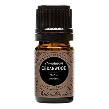 Cedarwood Himalayan 100% Pure Therapeutic Grade Essential Oil by Edens Garden- 5 ml