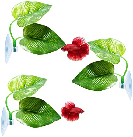 CousDUoBe Betta Fish Leaf Pad - Improves Betta's Health by Simulating The Natural Habitat（ Double Leaf Design, one Big and one Small ）