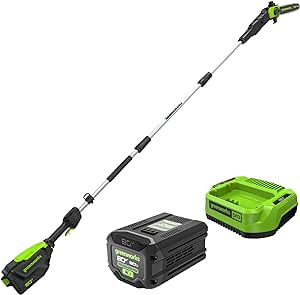 Greenworks 80V 10" Brushless Cordless Polesaw (Great For Pruning and Trimming Branches / 75  Compatible Tools), 2.0Ah Battery and Charger