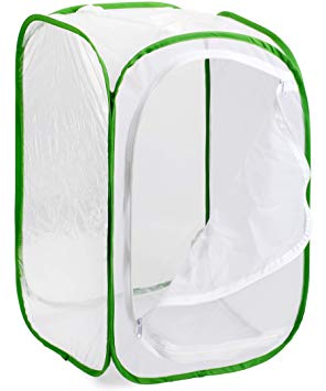 Muchfun Monarch Butterfly Habitat Cage Pop Up 24 x 24 x 36 Inches