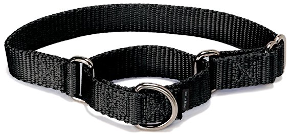 PetSafe Petite Martingale Collar