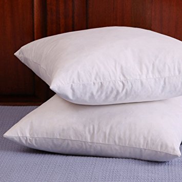 Set of 2, Down and Feather Throw Pillow Insert, 100% Cotton, 20x20 Inch