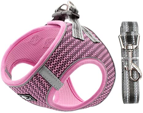 Dog and Cat Universal Harness with Leash - Cat Harness Escape Proof - Adjustable Reflective Step in Dog Harness for Small Dogs Medium Dogs - Soft Mesh Comfort Fit No Pull No Choke