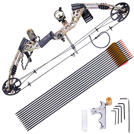 AW Pro Compound Right Hand Bow Kit w/ 12pcs Carbon Arrow Adjustable 20 - 70lbs Archery Set