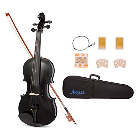 Artall 4/4 Full Size Handcrafted Acoustic Violin Starter Kit with Hard Case, Bow & Accessories, glossy Black