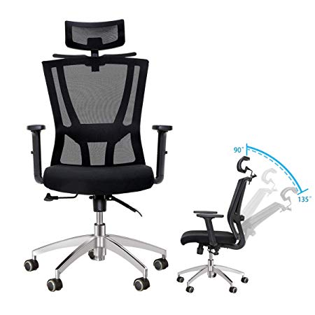 DOSLEEPS Office Chair, Mesh High Back Home Office Desk Chairs, wifh Adjustable Headrest, Armrest and Lumbar Support, Ergonomic V Shape Design, Tilt Function, 360 Degree Swivel, Black