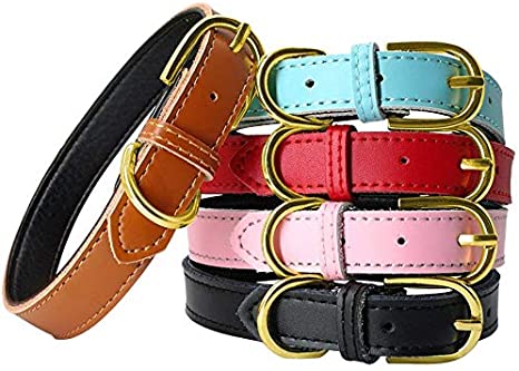 PET ARTIST Classic Soft Padded Leather Dog Collar for Small & Medium Dogs Cats