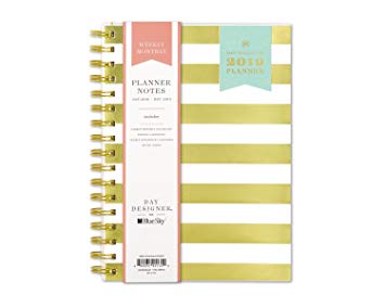 Day Designer for Blue Sky 2019 Weekly & Monthly Planner and Notebook, Flexible Frosted Cover, Twin-Wire Binding, 5.8" x 8.6", Gold Stripe