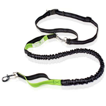 Paw Lifestyles Premium Hands Free Dog Leash, Double Handle, No Pull Leash with Retractable Shock Absorbing Bungee, Reflective Stitching and Adjustable Waist Belt, 4 ft | For Running, Jogging & Hiking