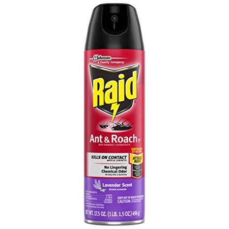 Raid Ant & Roach Killer Lavender, 17.5 OZ (Pack - 1)