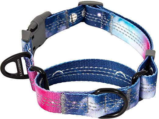 Leashboss Pattern Martingale Dog Collar, Reflective No-Pull Training Collar, Pattern Collection (Space Pattern - Small 12-15" Neck x 3/4" Wide)