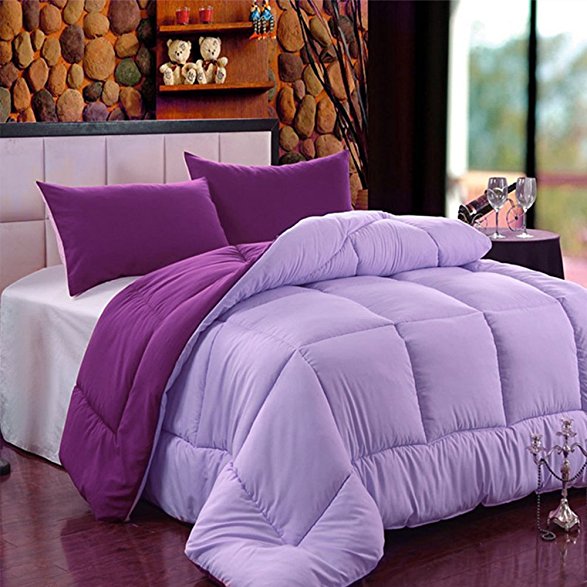 Fasisa Comforter Duvet Insert - Hypoallergenic Plush Siliconized Fiberfill - Luxury Reversible Brushed - Down Alternative Comforter - All Season Down Comforter (Queen, Purple/Lilac)