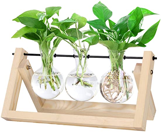 Desktop Plant Terrarium with 3 Pieces Glass Planter Bulb Vase- Hydroponic Planter Vase with Retro Solid Wooden Stand Air Planter Holder Metal Swivel Holder for Home Office Desk Hydroponics Plant Decor