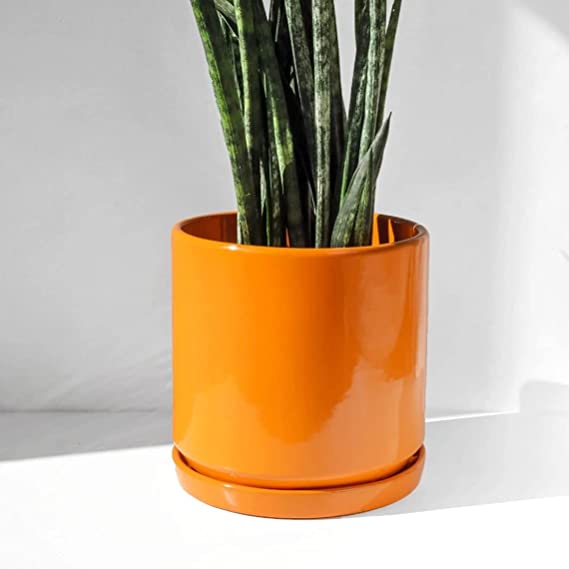 Orange Mid Century Modern Planter, Glazed Cylinder Plant Pot, Ceramic Pot for Plant, Optional Saucer (10 inch, 12 inch, 15 inch, 18 inch) (8 inch)