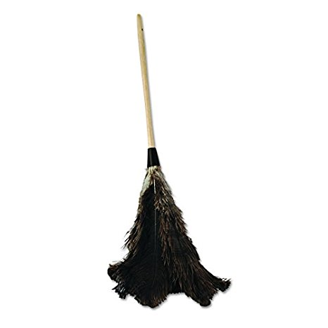 UNISAN UNS 28GY BWK28GY Professional Ostrich Feather Duster, 16" Handle