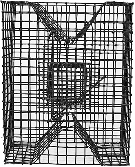 Joy Fish Pinfish Trap Made with Coated Wire mesh, Heavy Duty, Two Entrance. Meet Regulation, Made in USA