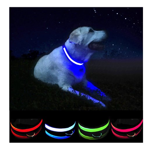 Petabunga Premium LED Dog Collar, USB Rechargeable & Superior Durability to Increase Dog Visibility & Safety, Made for Dogs of All Sizes, Glows at Night, Because Your Dog is Worth It