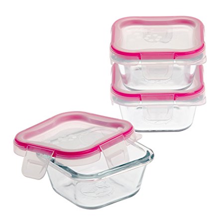 Snapware 1109328 6-Piece Glass Square Container Set with Total Solution Lid