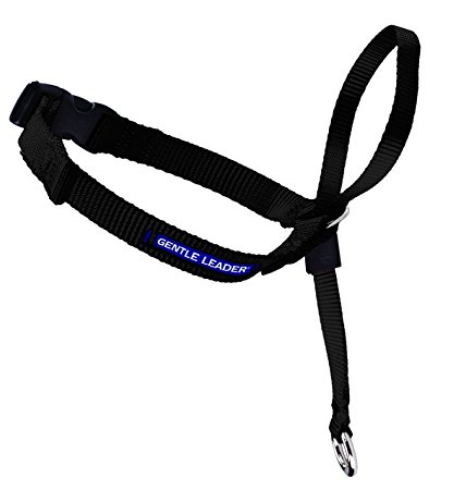 PetSafe Gentle Leader Head Collar with Training DVD