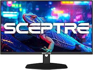 Sceptre 24-inch IPS Essential Thin 100Hz Gaming Monitor USB Type-C DisplayPort HDMI 100% sRGB Build-in Speakers, Machine Black 2024 (E248W-FP100T)