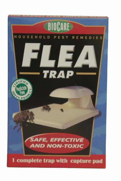 Springstar S102 Flea Trap