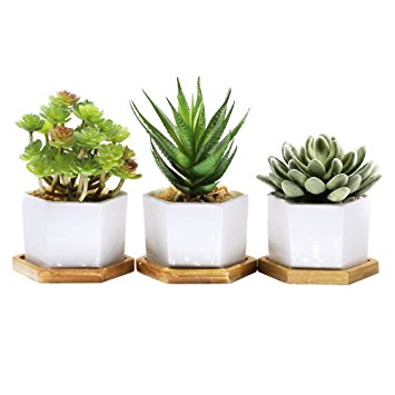 Pack of 3 Small White Ceramic Contemporary Hexagonal Design Succulent Plant Pot/ Cactus Plant Pot With Bamboo Tray