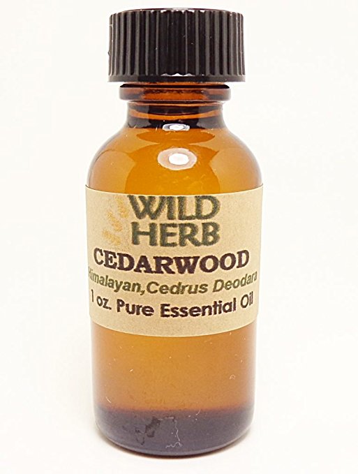 Bulk Cedarwood Essential Oil Organic