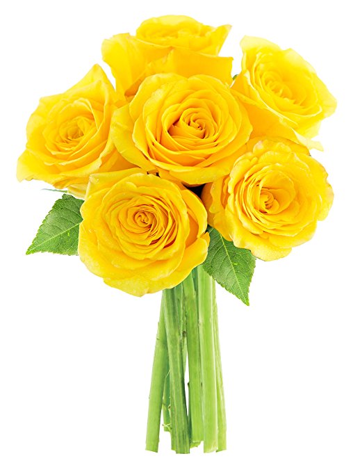 Bouquet of Long Stemmed Yellow Roses (Half Dozen) - Without Vase