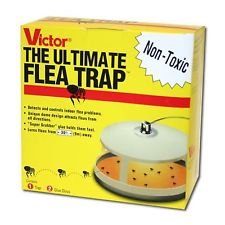 Victor M230 Ultimate Flea Trap (Pack of 2, Multy)