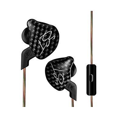 Dilvpoetry KZ ZST Dynamic Hybrid Dual Driver in Ear Earphones with Mic (Black)