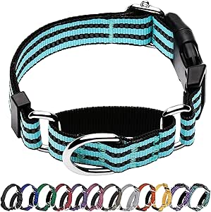 Hikiko Martingale Dog Collars Reflective Nylon Dog Collar with Quick Release Buckle Adjustable Training No Slip Dog Collar (Large, Sky Blue)