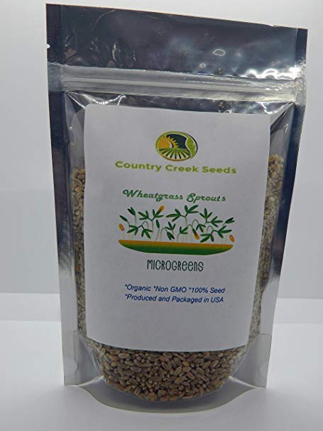 Wheatgrass, Microgreen, Sprouting, 16 OZ, Organic Seed, Non GMO - Country Creek LLC Brand - High Sprout Germination- Edible Seeds, Gardening, Hydroponics, Growing Salad Sprouts