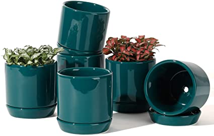 POTEY 055312 Succulent Pots with Drainage Hole & Saucer - 3.1 Inch Glazed Ceramic Small Planters Pot Indoor for Plants Cactus Succulent(Shiny Green, Set of 6, Plants NOT Included)