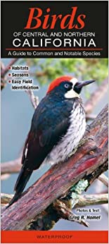 Birds of Central & Northern California: A Guide to Common & Notable Species (Common and Notable Species)