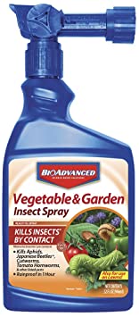 Bayer Advanced 701522 Vegetable and Garden Insect Spray Ready-To-Spray, 32-Ounce