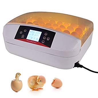 KUPPET 32 Eggs Digital Egg Incubator-Automatic Incubators Hatching Eggs for Chicken Ducks Goose Poultry etc-Temperature Control