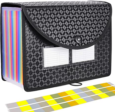 24 Pockets Accordian File Organizer, Expanding File Folder with Mesh Bag and Expandable Cover, Bill Organizer with Pockets 2022, Portable Paper/Receipt/Document Organizer with 3 Blank Labels