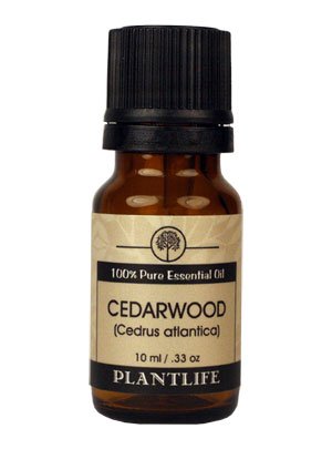 Cedarwood Atlantic 100% Pure Essential Oil - 10 ml