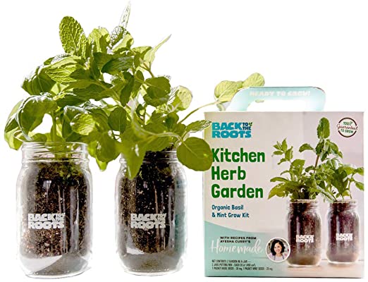 Back to the Roots 23002 Indoor Herb Garden Non-GMO Basil and Mint Plants Starter Kit with Organic Seeds, Soil, Biochar, and an Ayesha Curry Recipe Book, Green