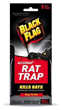 Black Flag 11051-1 Rat Snap Traps, 12-Pack