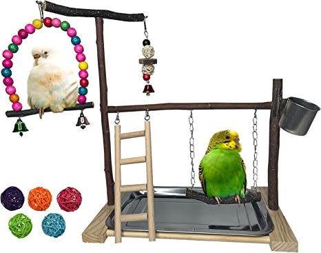 Bird Playground Parrot Playstand Parakeet Gym Playpen Cockatiel Play Stand Wood Perch Exercise Activity Center Ladders Feeder Cups Cage Accessories Swing Chew Toys for Cockatoo Budgie Lovebird Finch