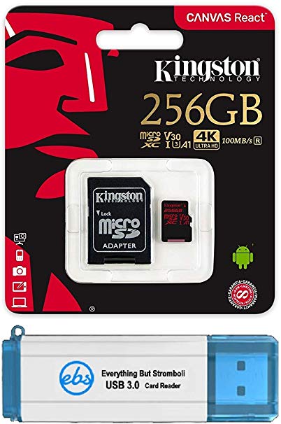 Kingston 256GB SDXC Micro Canvas React Memory Card and Adapter Bundle Works with GoPro Hero 7 Black, Silver, Hero7 White Camera (SDCR/256GB) Plus 1 Everything But Stromboli (TM) 3.0 TF/SD Card Reader