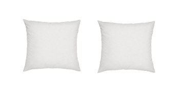 Web Linens Inc - Two Square Polyester Pillow Inserts with Two Zippered Covers - 22 x 22 Inch