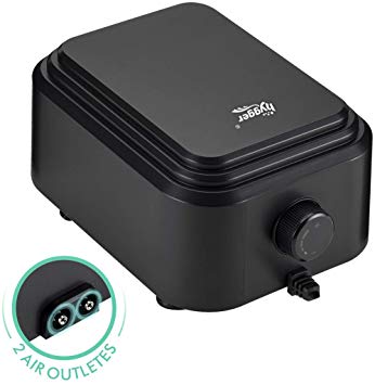 Hygger Quietest Aquarium Air Pump, Adjustable Oxygen Pump 2 Air Outlets Ultra Silent Powerful Aerator Pump 255GPH 10W for 20-600 Gallon Fish Tank