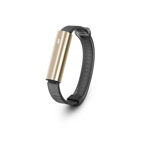 Misfit Ray - Fitness   Sleep Tracker with Black Sport Band (Stainless Steel Gold)