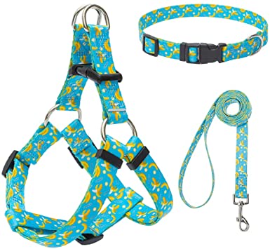 EXPAWLORER No Pull Dog Harness with Leash and Collar Set, Basic Halter Vest Harness, Adjustable Soft Strap with Fashion Banana Flamingo Design