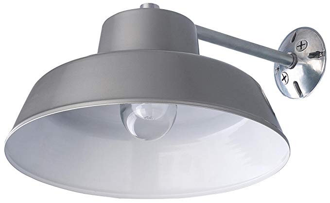 Canarm BL14CWS All Weather 1-Bulb Ceiling or Wall Mount All Weather Light with Clear Glass Globe, Grey