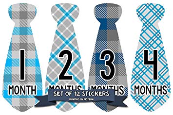 Monthly Baby Stickers Necktie Tie Boy Month Milestone Sticker Months in Motion (776)