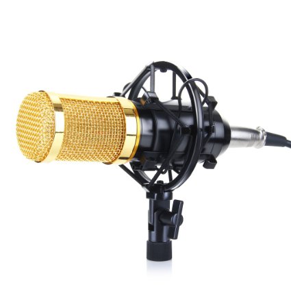 Floureon BM-800 Condenser Sound Studio Recording Broadcasting Microphone   Shock Mount Holder Black
